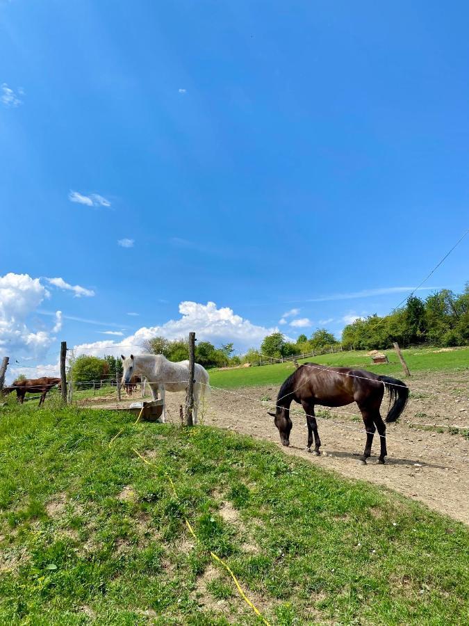 Liptovské Chaty Liptovský Mikuláš Esterno foto